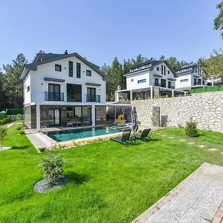 Luxury With Private Pool In Oeluedeniz, Vila