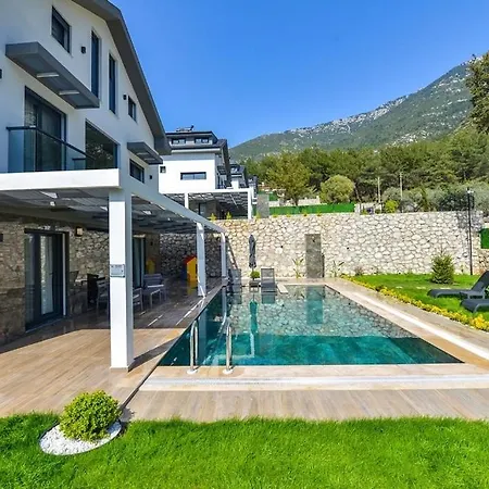 Luxury With Private Pool In Oeluedeniz, Villa